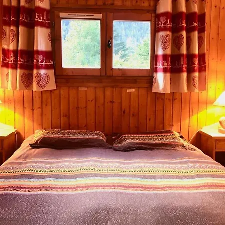Apt Or Chalet Near The Slopes 아파트
